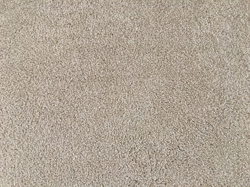 Professional Rug Cleaning Services Sydney