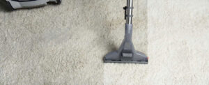 Top Carpet Cleaning Services Chatswood