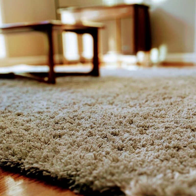 Importance of Carpet Cleaning Services once a year