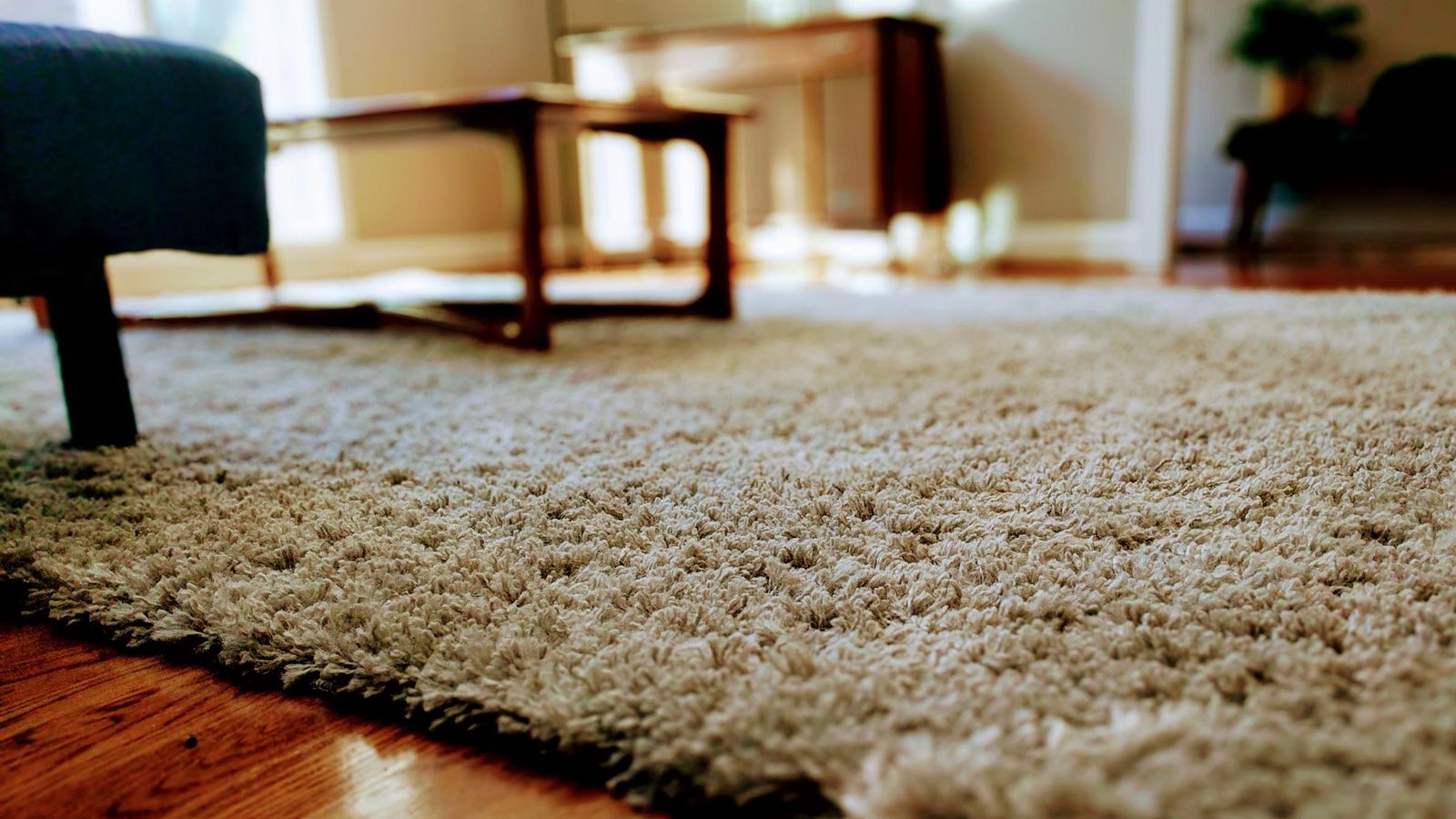 Why it is important to have carpets cleaned at least once every 12 months?