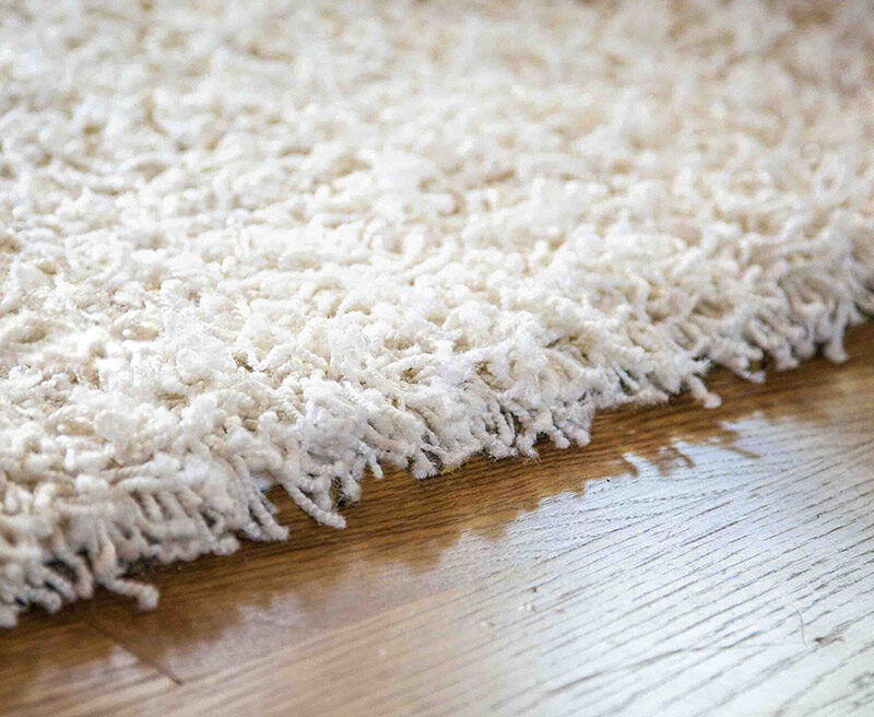 Importance of organic carpet cleaning