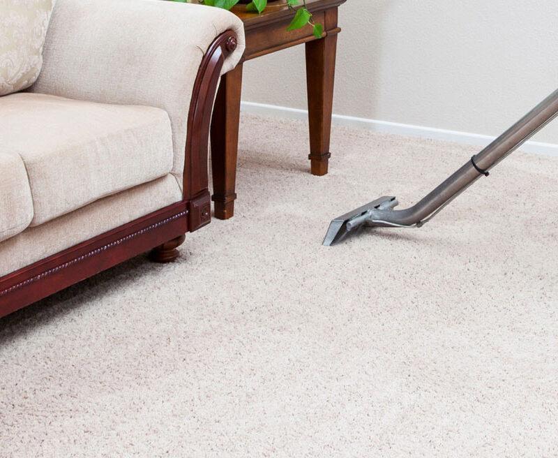 Eco-friendly carpet cleaning services