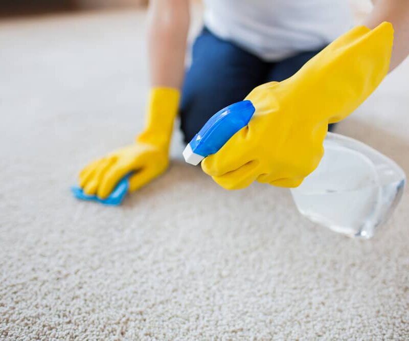carpet steam cleaner-organic carpet cleaning