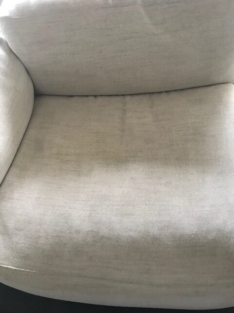 After cleaning image of sofa by organic carpet cleaning