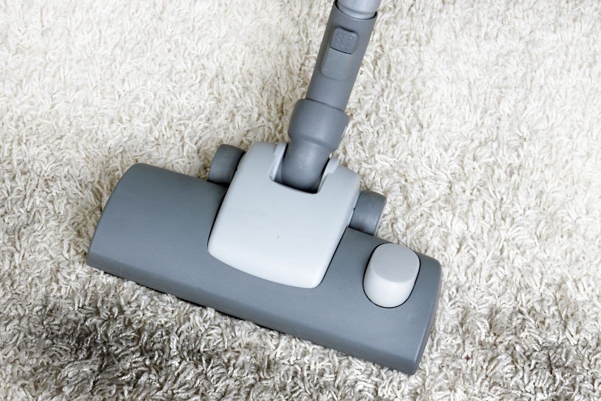 The Common Carpet Cleaning Myths Debunked