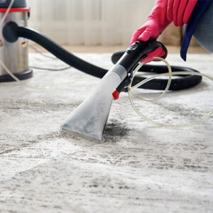 Commercial Carpet Cleaning, Commercial Carpet Cleaning | What to Look For, Organic Carpet Cleaning