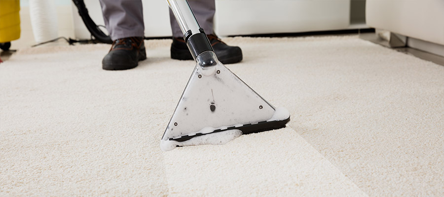 The Best Methods for Rug Cleaning, The Best Methods for Rug Cleaning, Organic Carpet Cleaning