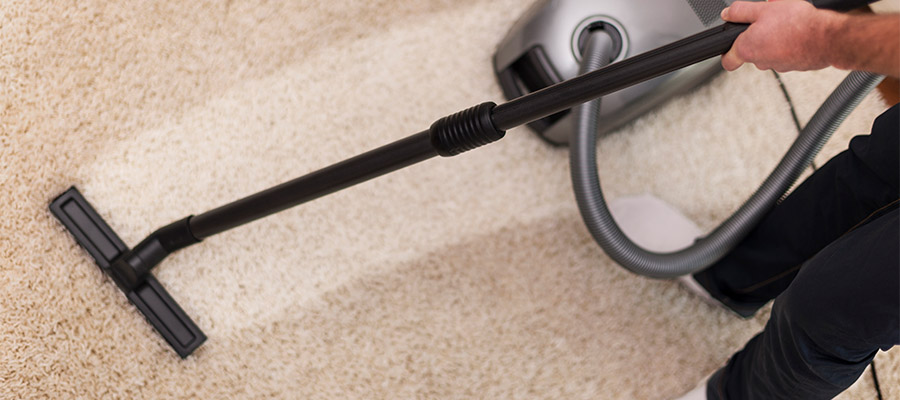 The Benefits of Organic Carpet Cleaning, The Benefits of Organic Carpet Cleaning: A Healthier Choice for Your Home | Organic Carpet Cleaning Sydney, Organic Carpet Cleaning