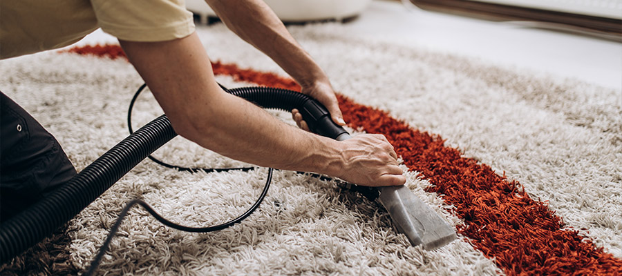 Why Choose Organic Upholstery Cleaning for a Fresher Living Space, Why Choose Organic Upholstery Cleaning for a Fresher Living Space | Organic Carpet Cleaning Sydney, Organic Carpet Cleaning