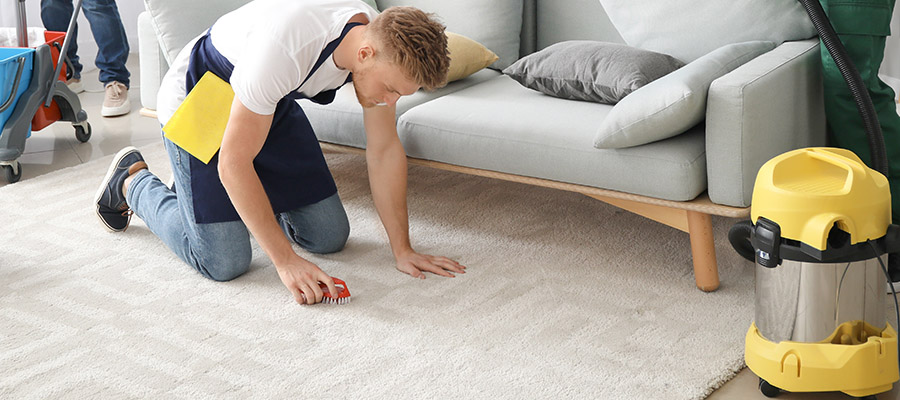 Extend Your Carpet's Lifespan with Organic Cleaning, Extend Your Carpet&#8217;s Lifespan with Organic Cleaning, Organic Carpet Cleaning