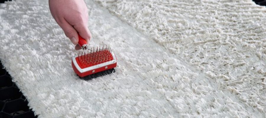 Organic Carpet Cleaning vs. Traditional Methods: Which is Right for You?, Organic Carpet Cleaning vs. Traditional Methods: Which is Right for You?, Organic Carpet Cleaning