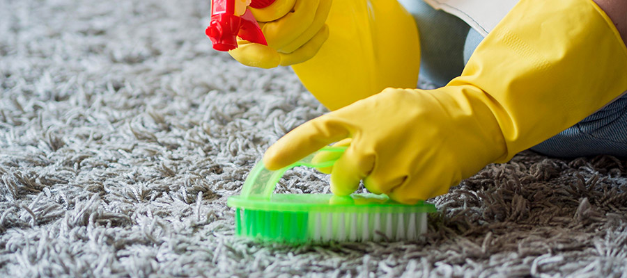 Eco-Friendly, Top 3 Eco-Friendly &#038; Affordable Carpet Cleaning Solutions, Organic Carpet Cleaning