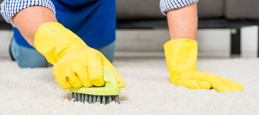Eco-Friendly, Top 3 Eco-Friendly &#038; Affordable Carpet Cleaning Solutions, Organic Carpet Cleaning